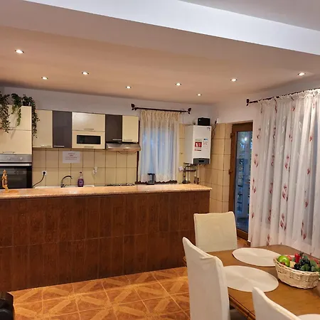 Casa Iulian Dom wakacyjny